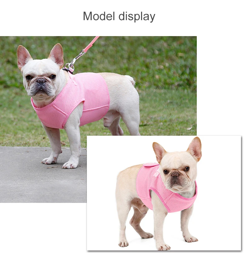 Dog Harness Breathable (9)