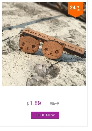 dianxiaobao