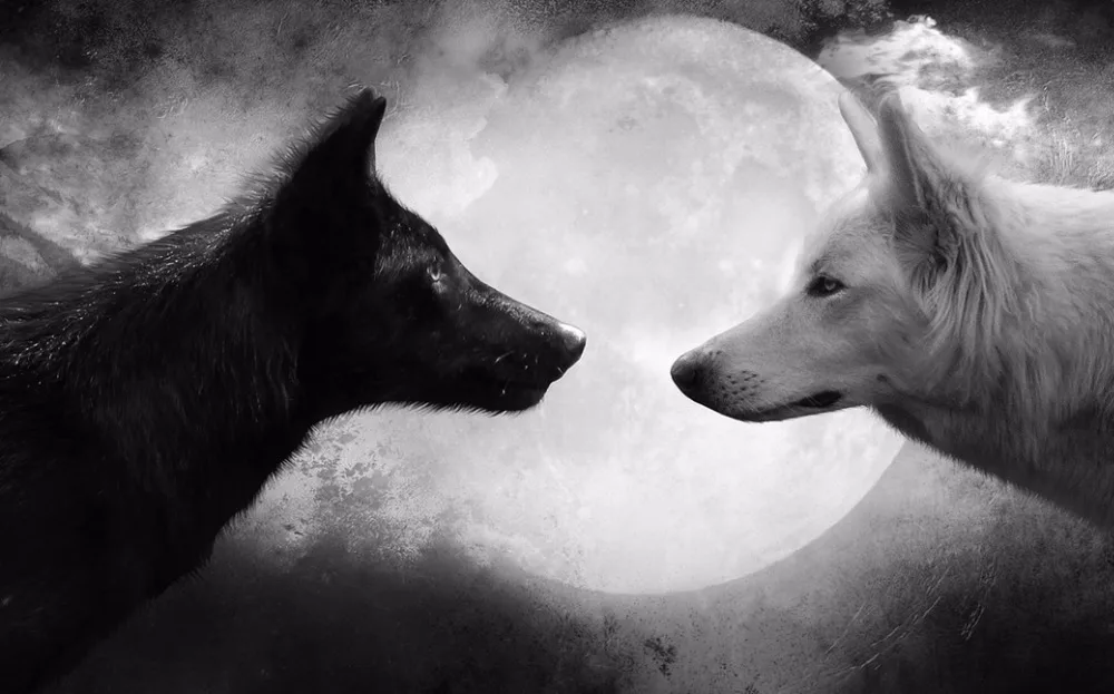 O-White Wolf-12(53X33CM)