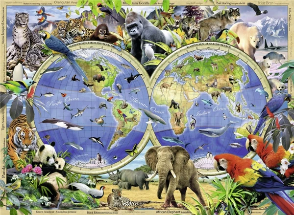 Needlework diy diamond painting cross stitch kits full resin square embroidery Mosaic Home Decor animal z0988 | Дом и сад
