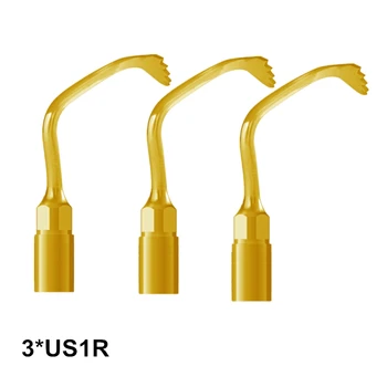 

Right Angle 3PCS US1R Ultrasurgery Tip Tooth Care For MECTRON And WOODPECKER Piezosurgery Equipment Perfect Smile Veneers Tools