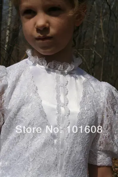 1860S Викторианский готический корсет/бальное платье в стиле южной красавицы для