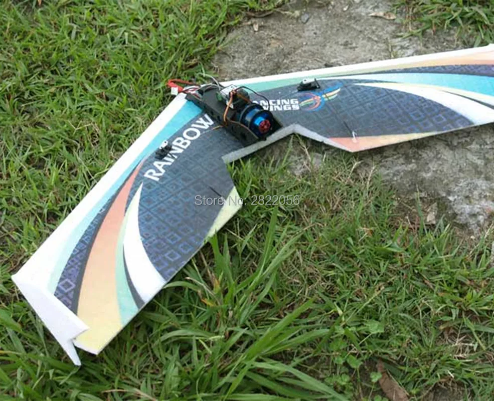 Rainbow Fly wing-1 (2)_
