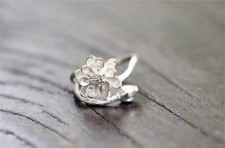 2727807283_1137581325