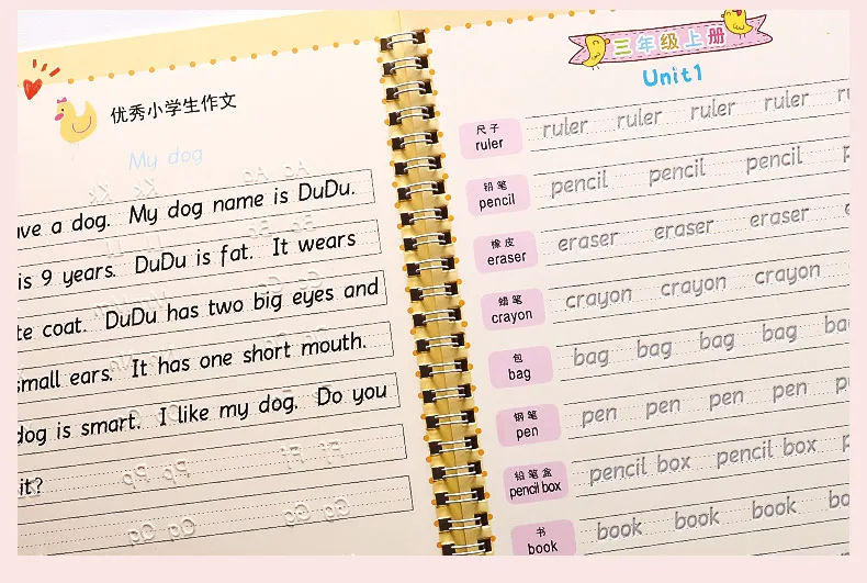 Palavras do Corpo Livro de Exercícios do Sulco Hengshui Escola Primária Inglês Textbook Duro Caneta Educação Infantil Pode Ser Reutilizados 3-6 14 Palavras Do Corpo Duro Caneta Educação infantil