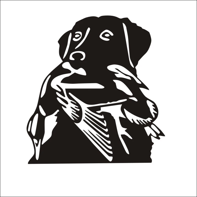 DCTAL car hunting decal interesante Hunter Caza codorniz car Decals etiqueta que cubre el Cuerpo forma hunting Sticker h-119