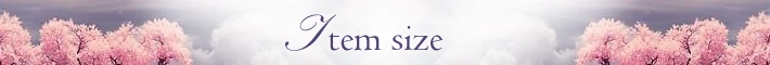 ietm size