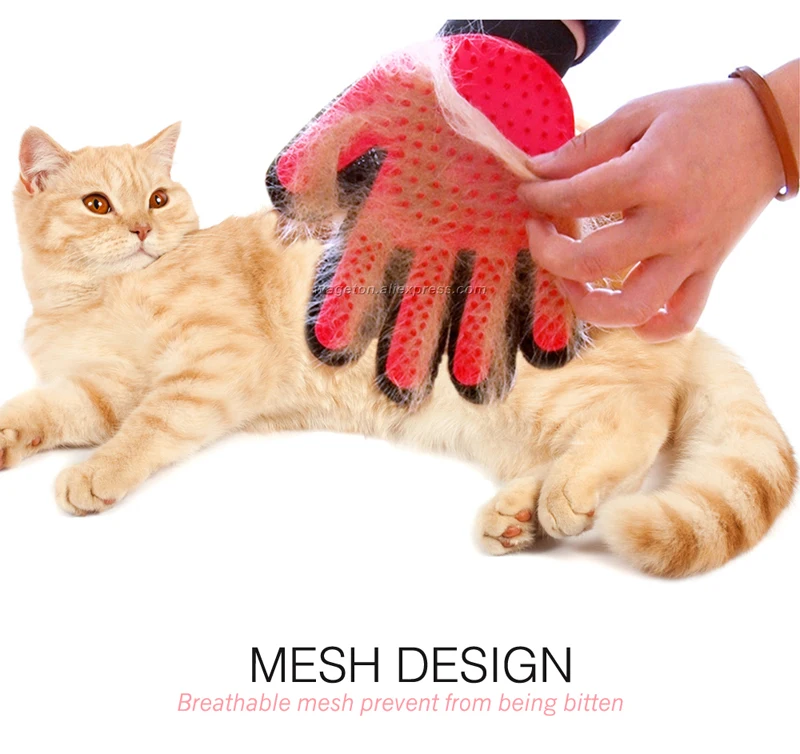 7 cat grooming 