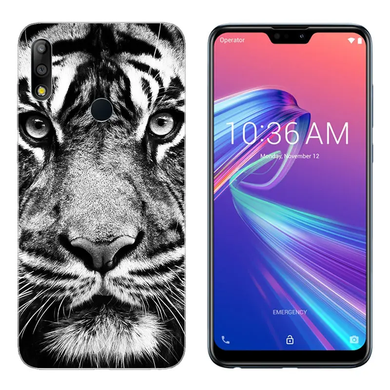 Case for Asus ZB631KL Zenfone Max Pro M2 Silicone ZB633KL Zenfone Max M2 Cover Transparent ZB 631KL Soft TPU ZB633 KL Fundas  (17)