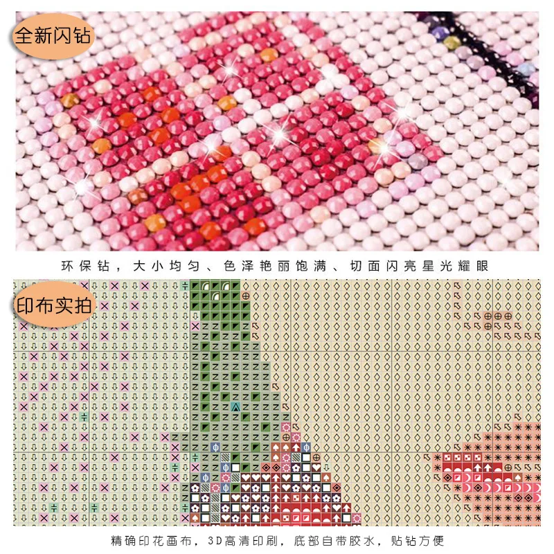 9545326440_387581650