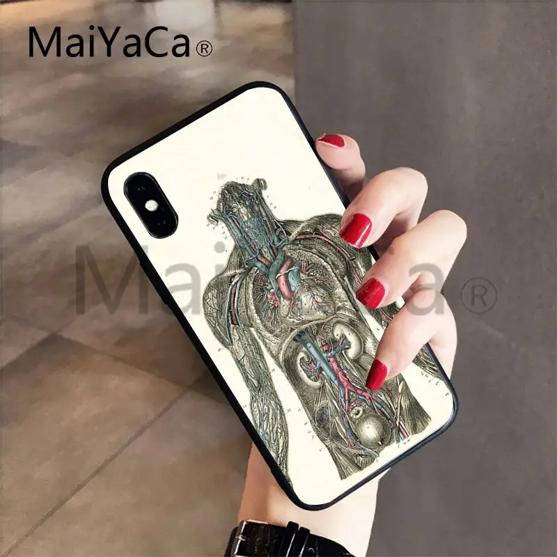 MaiYaCa для iphone 7 6 X Чехол Анатомия человека популярный чехол для телефона для iphone 8 8plus 7 7plus 6 6plus 5 5S 5c SE XS XR XSMAX чехол - Цвет: 7