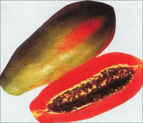 

WORLD NO1 PAPAYA " RED WINNER " - 50 FINEST semillas
