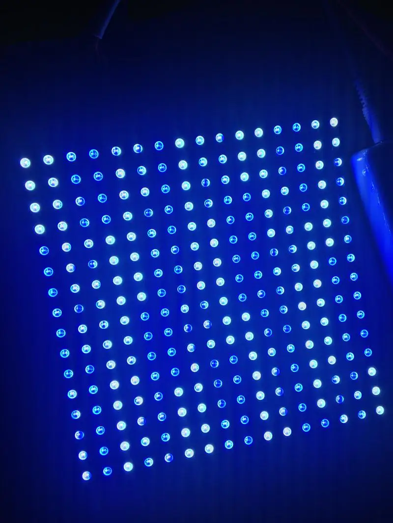 ss