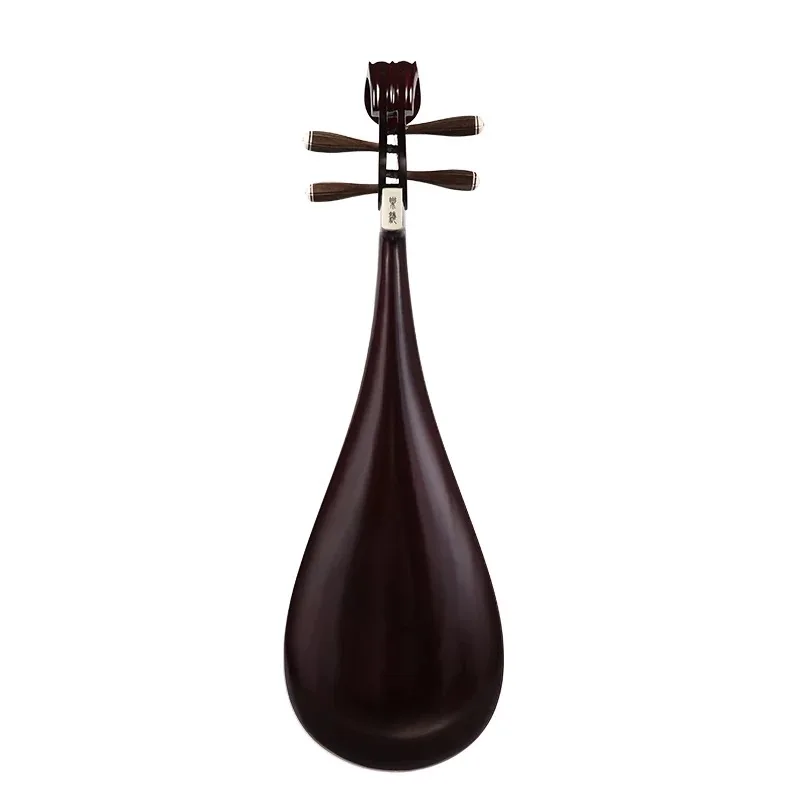 Pipa инструмент для начинающих pipa grading professional pipa national instrument pipa lute