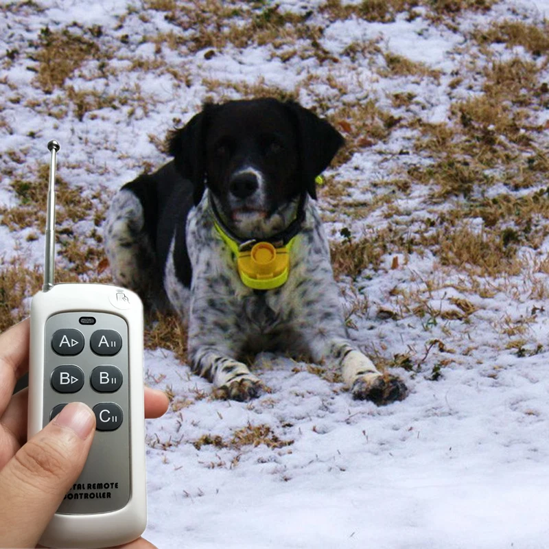 remote controller 5