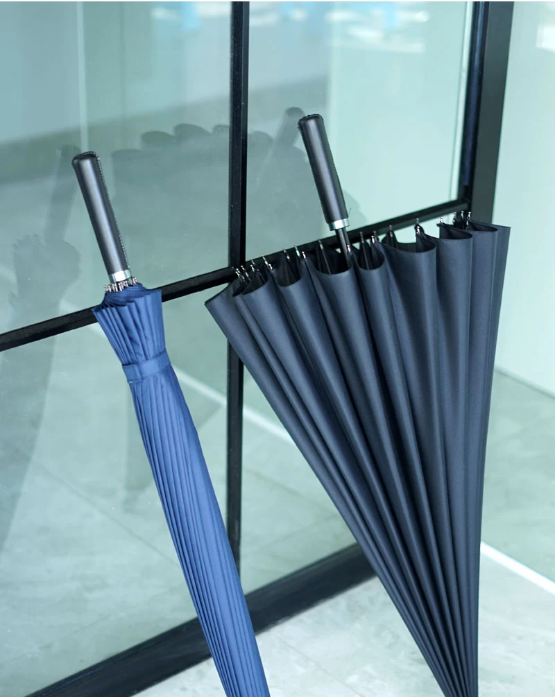 Transparent Umbrella (12)