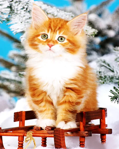 

Hot Diy Diamond Painting Embroidery 5D Full Diamond Cross Stitch Needlework Set Rhinestone Crafts Paintings Wall Decoration J277