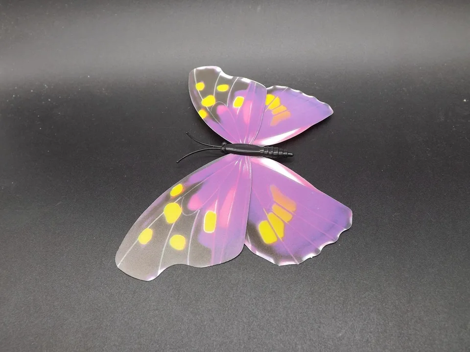 I241-Butterfly (6)