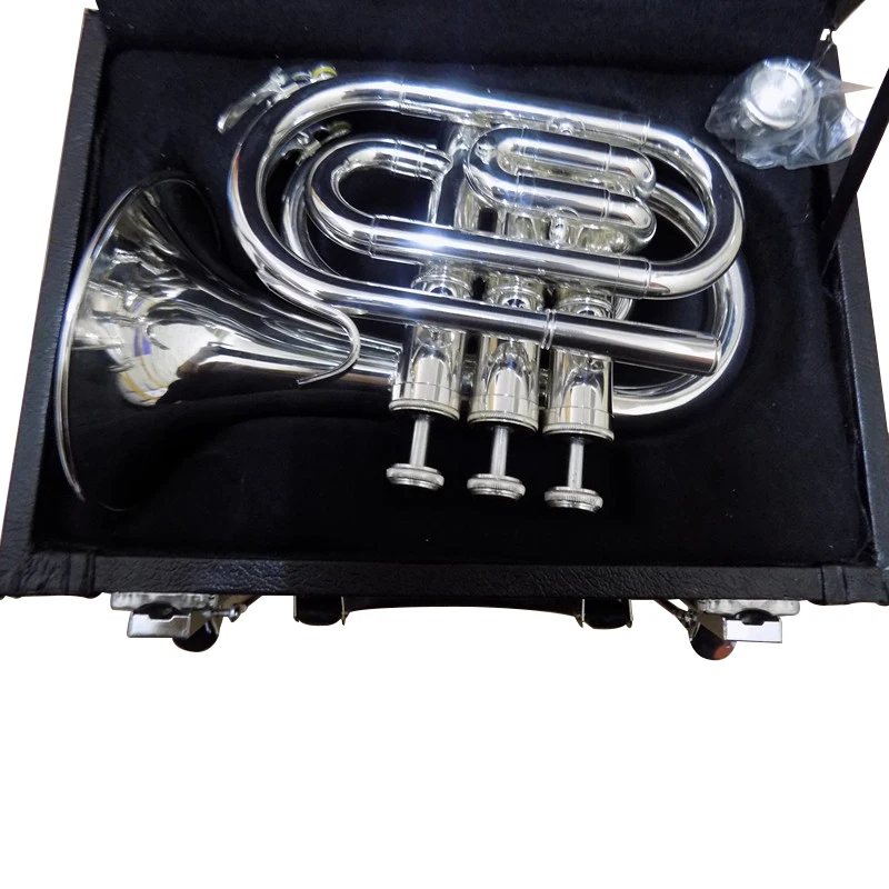 Buy Bb Pocket trumpet horn Silver Plated with Case and