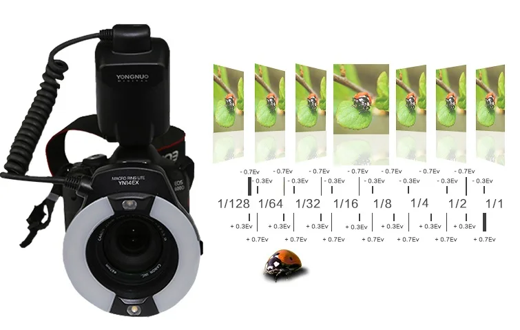 YONGNUO YN-14EX ttl макро кольцо вспышка с 4 адаптерами YN14EX Speedite для Canon 5D Mark II 5D Mark III 6D 7D 60D 70D 700D