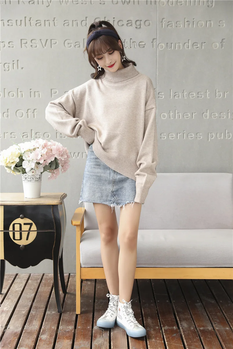 Knit Women Sweater  (18)