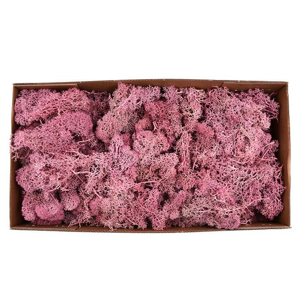 Colorful Artificial Moss Plant DIY Dried Reindeer Moss Floral Crafts Flowers for Plant Pot Garden Home Wedding Decor