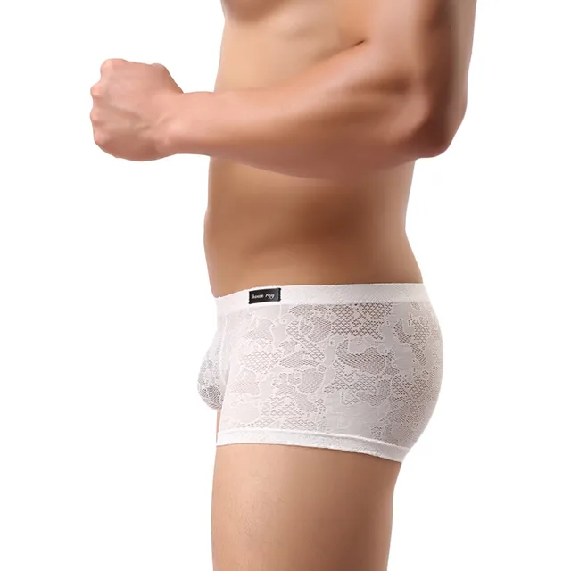 2017 New Fashion Mens Sexy Translucent Boxer Briefs Intimates Soft Lace Floral Ventilate Exotic Boxer Sexy Shorts Underpants -