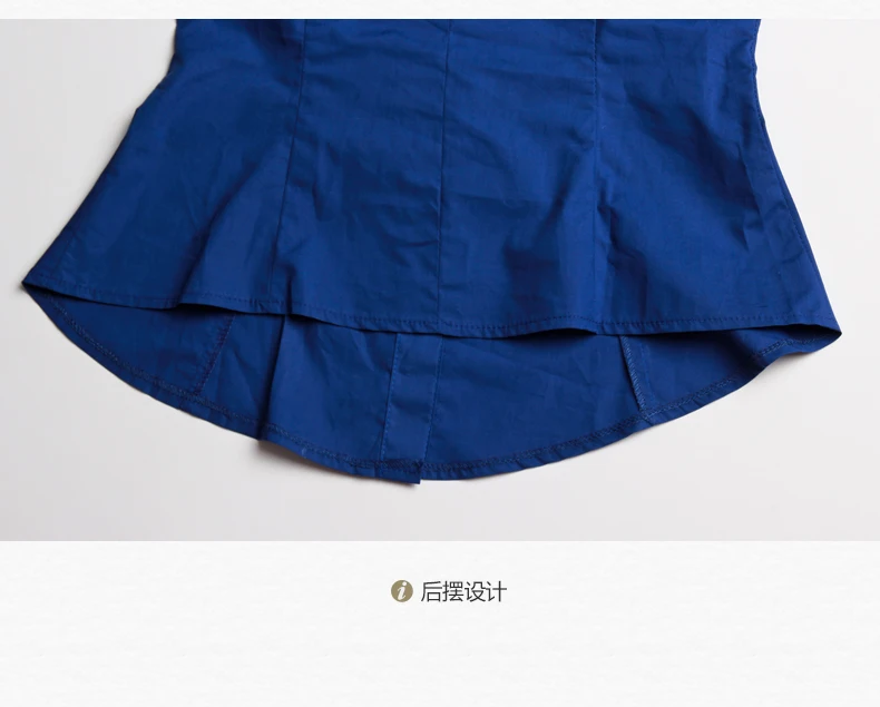  Elegant Office Ladiesa Blusas Female (27)