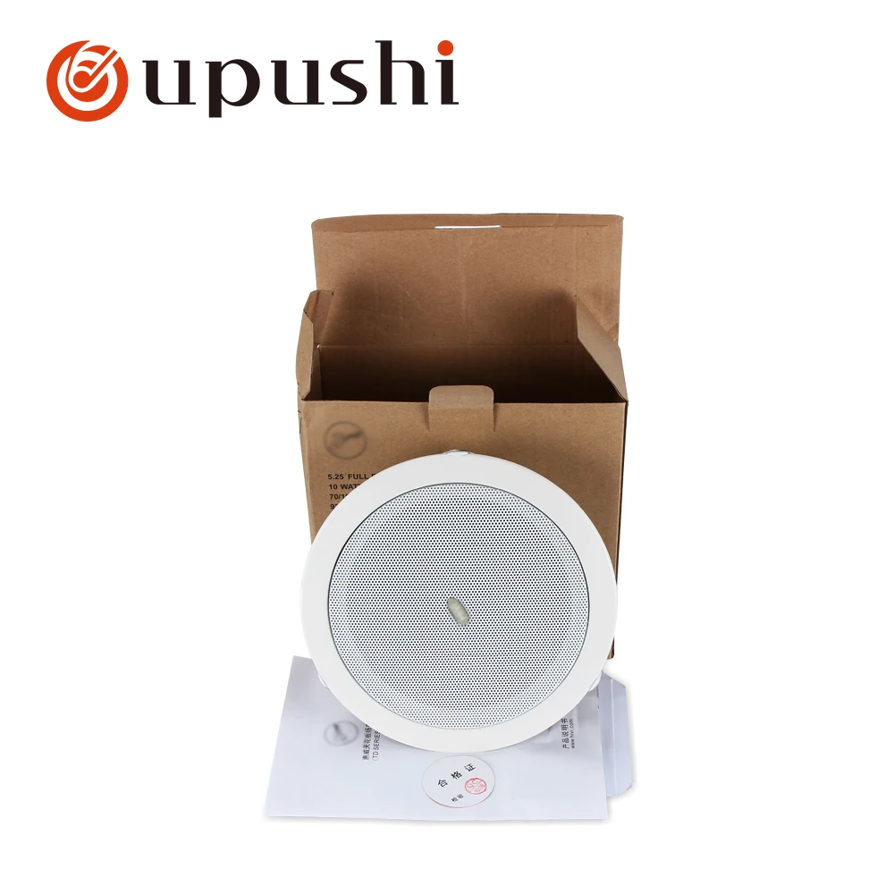 Hifi In-Ceiling Speaker System 5.25 Inch 6-10W