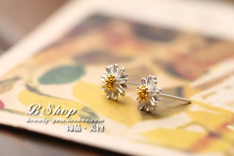 2588569125_213403432