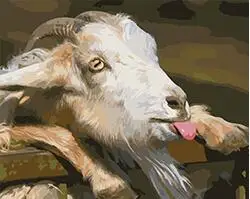 Фотография для рисования по номерам со звездами|picture set|set artdrawing by numbers |