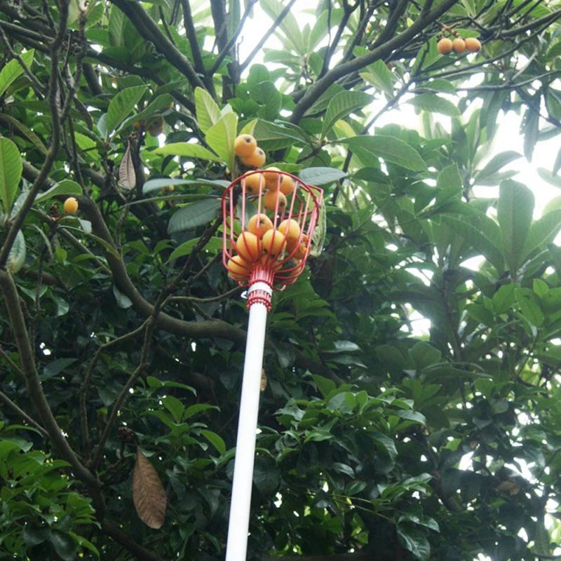 

Outdoor Deep Basket Garden Tools Fruit Picker Head Metal Fruit Picking Tools Fruits Catcher Harvest Picking
