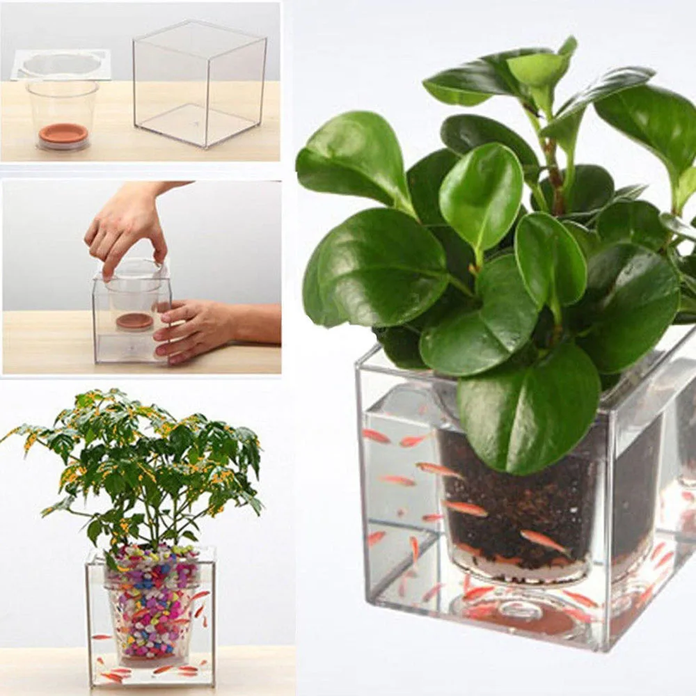 1Piece Creative Clear Tube Plant Pot / Flower Pot Decorative Self