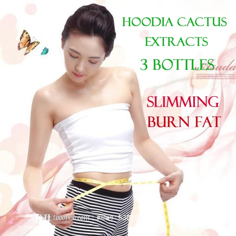 3 Packs Supply  Nature slimming Hoodia Cactus Extracts diet burn fat appetite control Pure Hoodia gordonii extracts Weight Loss