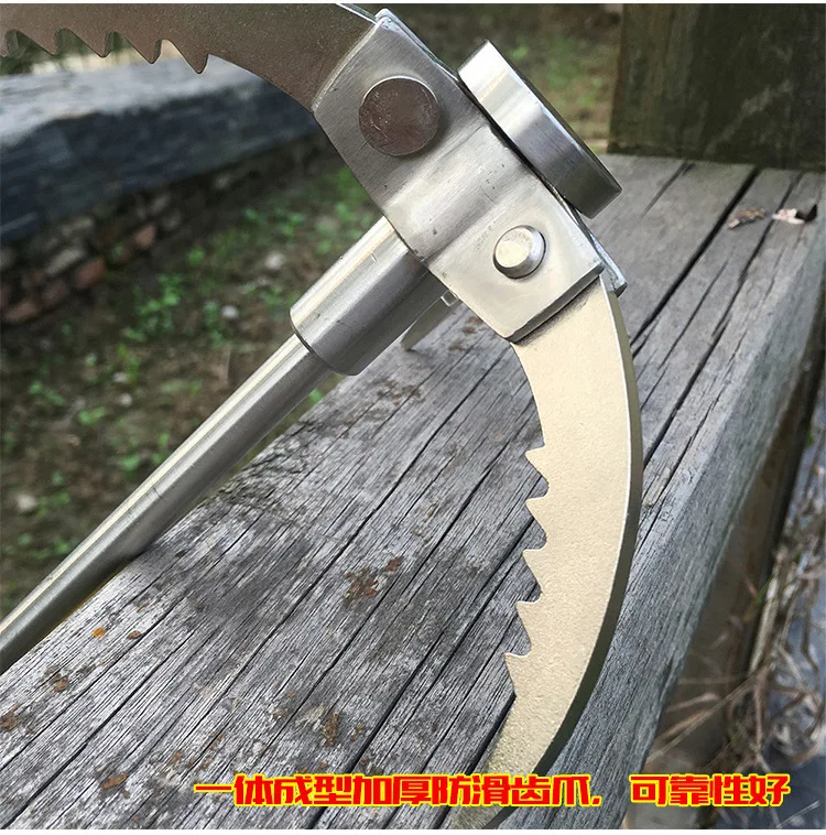 3552239302_2102329459