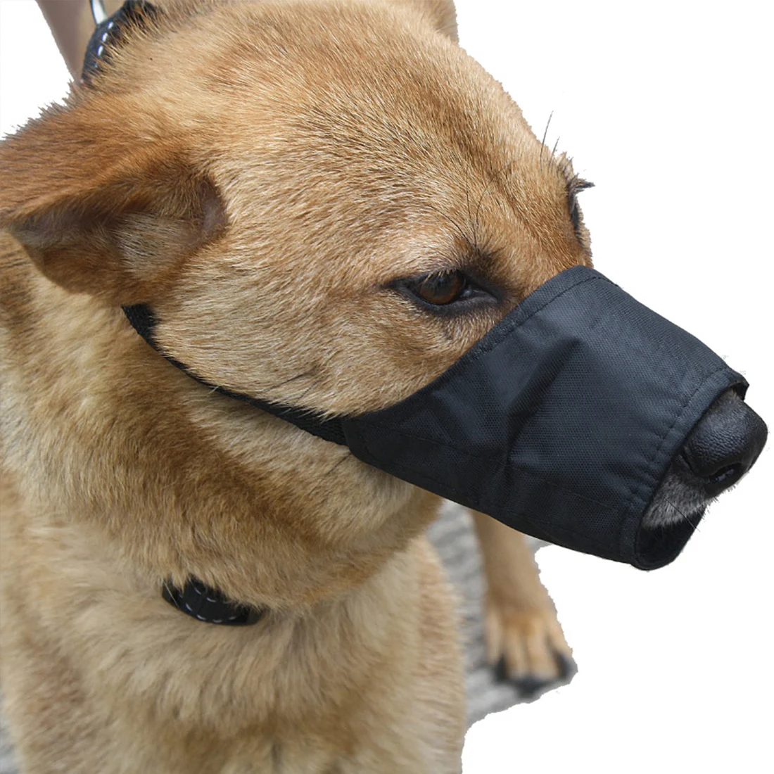 Great Dog Grooming Muzzle  Check it out now 