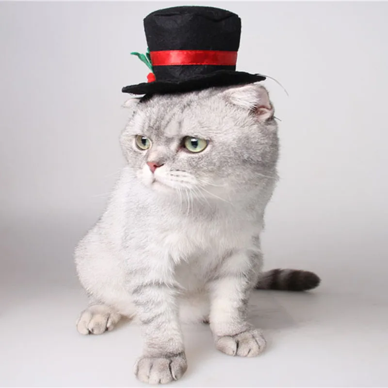 Buy Pet Cat Hat Cap Adjustable Gentlemen's Black Top