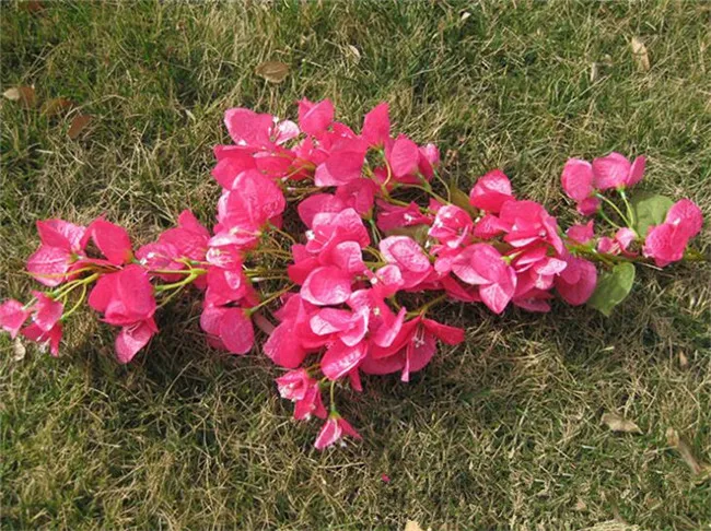 Шелковые бугенвиллеа Искусственные цветы бугенвиллея Spectabilis Willd Wintersweet для свадебного цветка - Цвет: hot pink