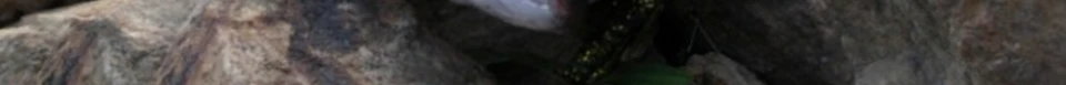 ENG_54