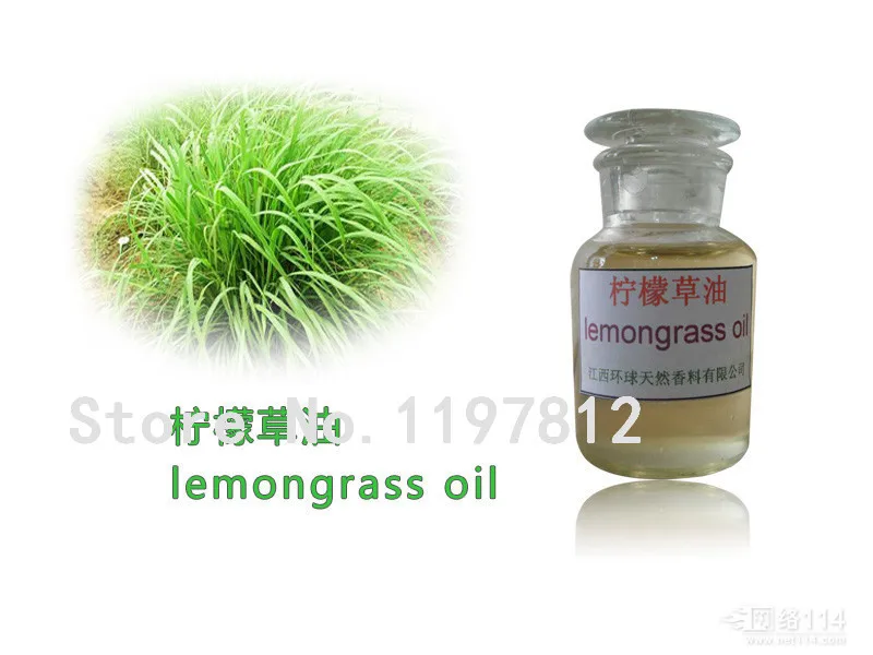 500pcs / Bag Lemon Grass plants home garden Herb plants Lemongrass plants Chinese Heirloom tea bonsai Diy plant potted Sementes