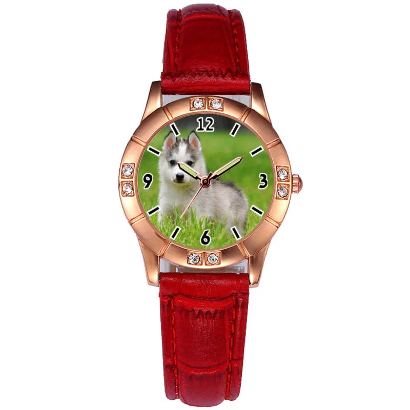 dog gift