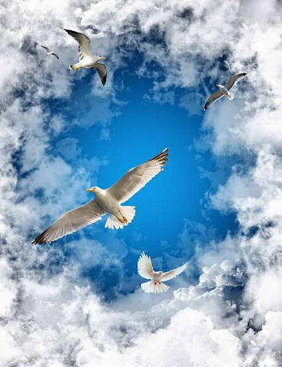 

Waterproof Self-adhesive Wall Stickers Ceiling Backdrop Wall Mural Hotel Living Room Wallpaper Sky Birds