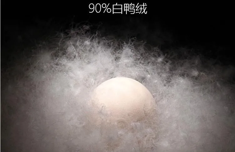 QQ20161023120319