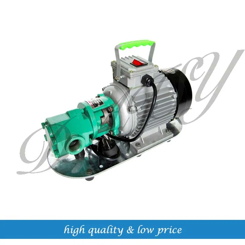 

100l/min 1.1Kw 220v 50hz Cast Iron Mini Gear Oil Pump/Portable Oil Pump/Self Priming Oil pump