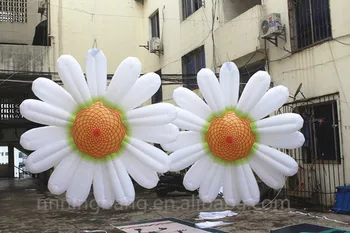

Free shipping diameter 3m giant inflatable daisy\inflatable flower