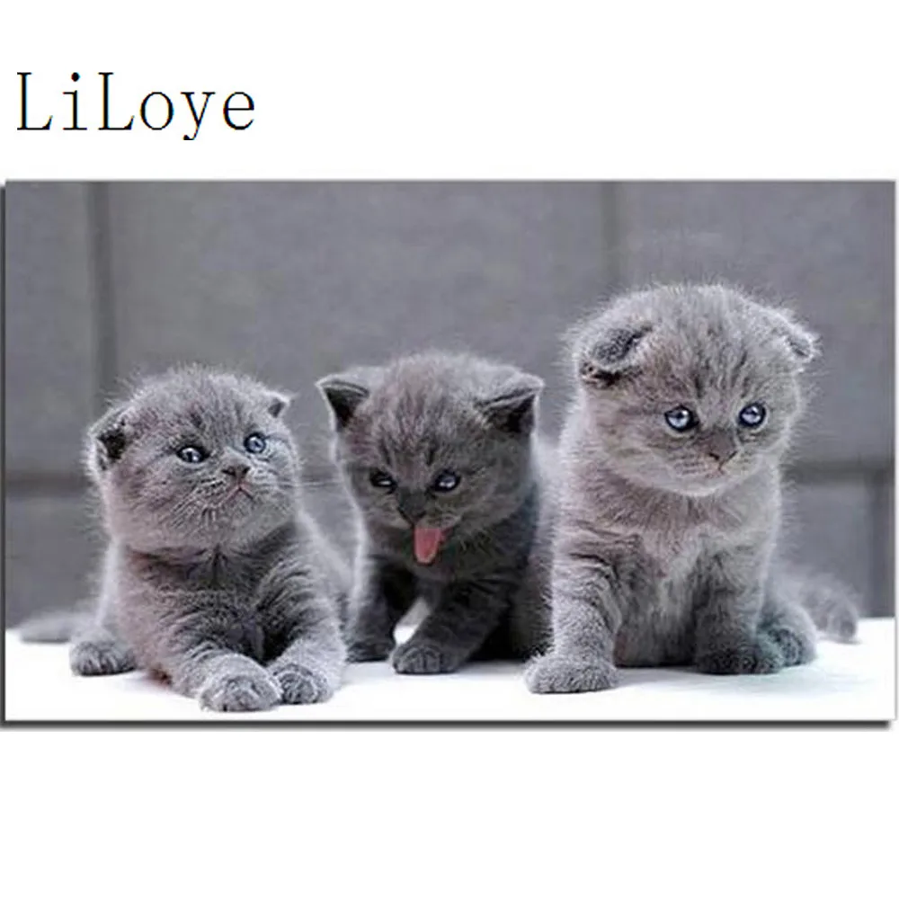 

Li Loye 5D Diamond Mosaic Handmade Diamond Painting Cross Stitch Gray cat Mosaic Diamond Embroidery Patterns decor Painting A594