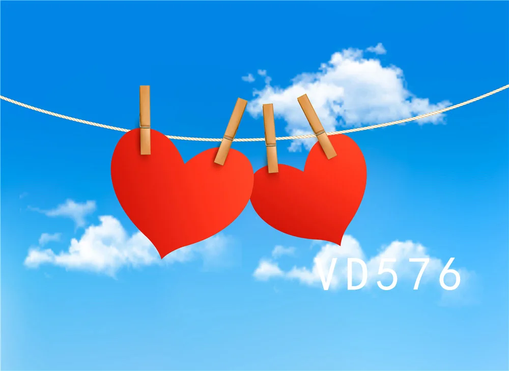 VD576