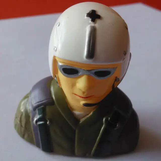 freewing-a10-pilot-3