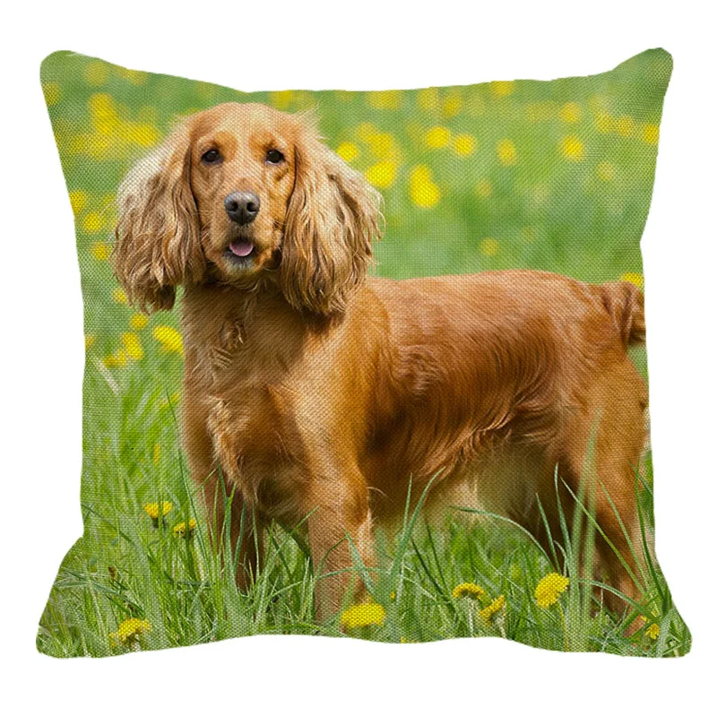 Chocolate Cocker Spaniel Dog Soft Velvet Feel Cushion Cover With Inn AD-SC4-CPW 