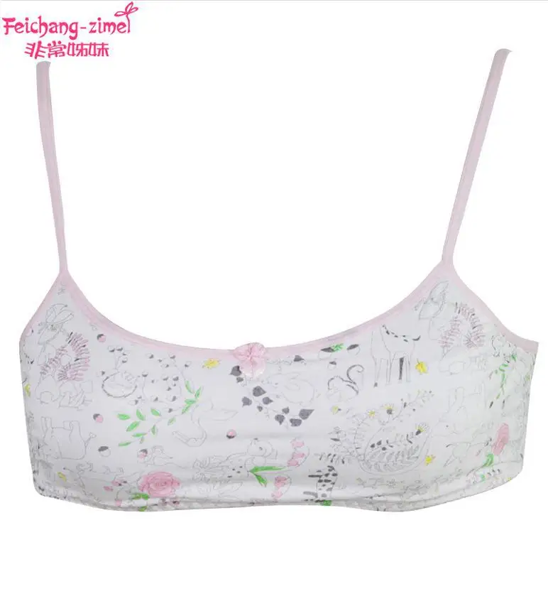 Free Shipping 2015 Fashion Sister Cotton Training Bras For 9 To 12 Year
